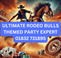 ULTIMATE RODEO BULLS